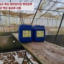 오투퓨어