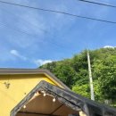 장태산 노랑펜션 이미지