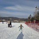 용평리조트 이미지
