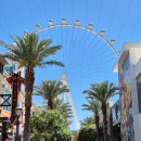 (주)엔터윈 | [2024 미국 서부] 라스베가스 당일치기! 호텔 투어, 위키드 스푼, 프리몬트, 하이롤러 대관람차, 아울렛