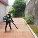 도산초등학교병설유치원 이미지