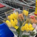 김해축협 가야지점 이미지