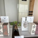 카페송정 | 부산 해운대 송정 카페 '수월경화' 솔직후기