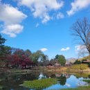 동산농원 | 🍁 가을 정취 가득한 포천 서운동산 방문 후기! 🐑