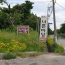안초산길 네이버블로그