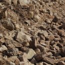 원식농장 이미지