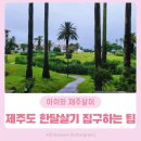 제주도 아이랑 한달살기 준비 팁 &lt;숙소 편&gt;
