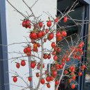 군산상사 이미지