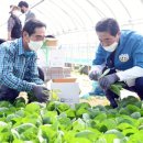 상록수영농조합법인 이미지