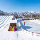 현민복합영농조합법인 | 춥다고 집에만 있을 순 없죠? 아이랑 가기 딱 좋은 겨울 명소들