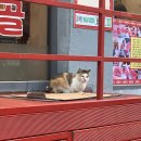 신양평해장국 이미지