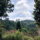 복주민박 이미지