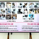 포유(for you) 이미지