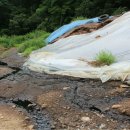 소로리 농장 이미지