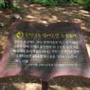 실레이야기길(봄내길 1코스) 이미지