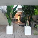 회산백련지 관리사무소 이미지