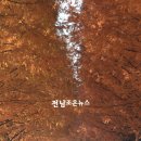 곡성-226 이미지