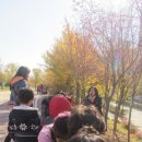 새빛솔금유치원 이미지