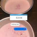 온 역대급 컨셉! 안주 퀄리티 미친 홍대 과일 막걸리 맛집 '조선시대' 🏮 (feat. 능이닭백숙 &amp; 딸기막걸리)