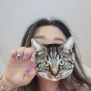 케이네일(K nail) 이미지