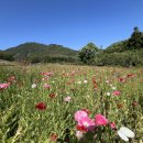 박경리 추모공원 이미지