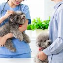 성지약국 이미지