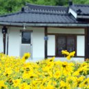 의성 순호리 도해와 네이버블로그