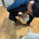 설악뜰 | 강원도가족여행 양양애견동반숙소 설악뜰펜션 추천