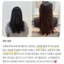 세빈컨설팅