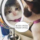 간결한(?) 근황