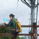 "살충제 못 쓰는데"…'미운 익충' 러브버그 귀환에 '긴장' 이미지