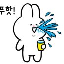 미인들래 이미지
