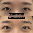 8번째 재방문하는 마곡 위니더래쉬 속눈썹펌 내돈내산 후기｜가격, 주기, 주의사항｜눈썹펌과 눈썹왁싱