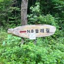 초여름 걷기좋은 제주도 숲길! NB둘레길 영아리오름