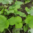 명석농장 이미지