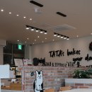 타타스 이미지