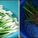 문교농장 이미지