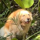 태욱 제1농장 | 의정부PT 태욱쌤과 함께한 회원님의 다이어트 PT후기! [6탄]