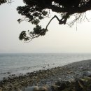 공곶이해변 이미지