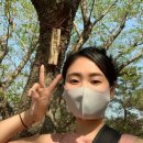 황령산 문현약수터 | [부산황령산벚꽃] 금련산-황령산 등산코스 (배산역-금련산둘레길-금련산정상-황령산 봉수대-편백림-전포...