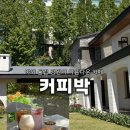 카페푸른밤 | 당진 카페추천 커피박｜야외정원이 예쁜 튤립 가득한 카페, 밤티라미수 맛집 후기