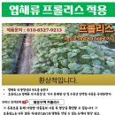 대동무역 이미지