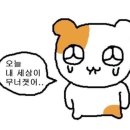 애플PC방 | [구관]청주 농심PC방+왓더버거(케리아 버거)+다리취향...완+전설의 토마토(스윗팡팡애플토마토)후기