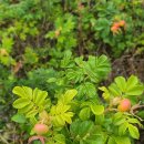 송림2리 이미지