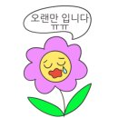 바니속눈썹 - 북구 구포동 | 바니속눈썹