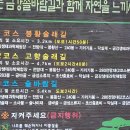 금강솔바람길 이미지