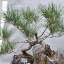 하나스테이대명 | [육아일기]동대문노보텔레지던스 아기와가족호캉스 후기(아코르 스테이플러스 사용)