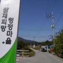 쌈채마을