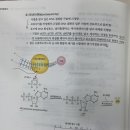 2권 16장 DNA테크놀로지 p.440 파이로시퀀싱의 프라이머 이미지