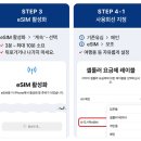 일본 e심 사용법 가격 와이파이도시락 비교